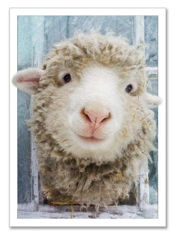 Storybook Art Card ~"In the Window"