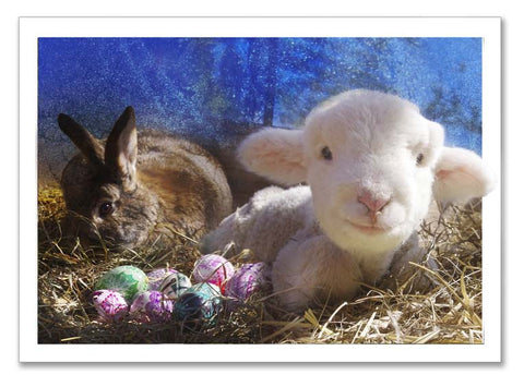 Storybook Art Card ~"Finn's Easter"