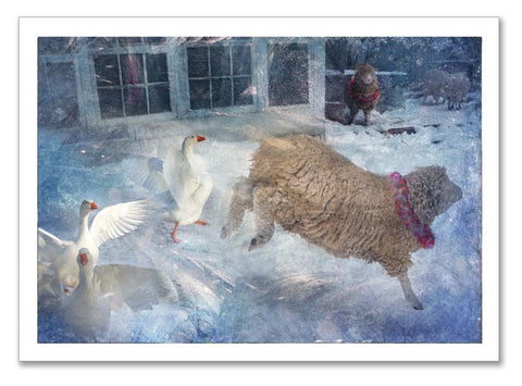 Signed & Numbered Limited Edition Fine Art Print~ "Jump for Joy"