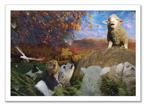 Storybook Art Card ~"The Big Round Bale"