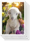 Art Card Collection- Moonrise Farm Easter