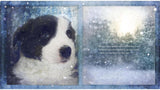 Sweet Pea & Friends A Farm for Maisie