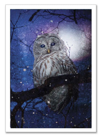 Storybook Art Card ~"Forest Owl"