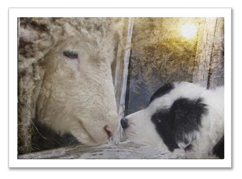 Signed & Numbered Limited Edition Fine Art Print~ "Touching Noses"
