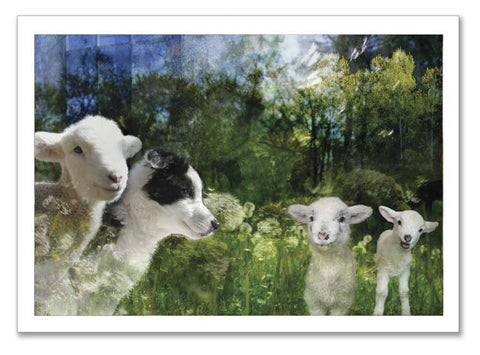 Signed & Numbered Limited Edition Fine Art Print~ "New Friends"
