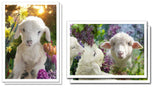 Art Card Collection- Spring Garden