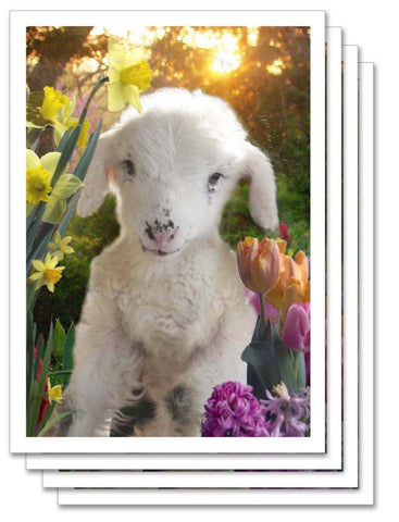 Art Card Collection- Moonrise Farm Easter