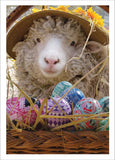 Art Card Collection- Easter Egg Hunt